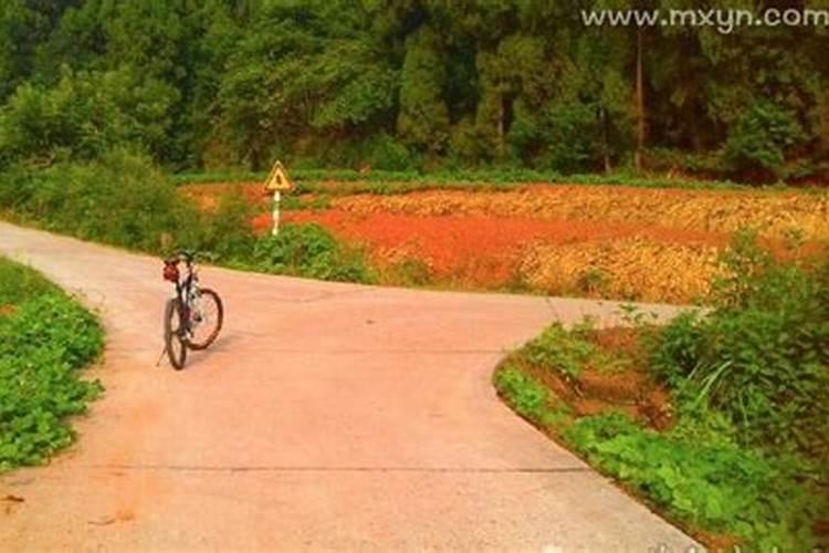 重阳节登高是仿效哪个古人上山避难的故事？