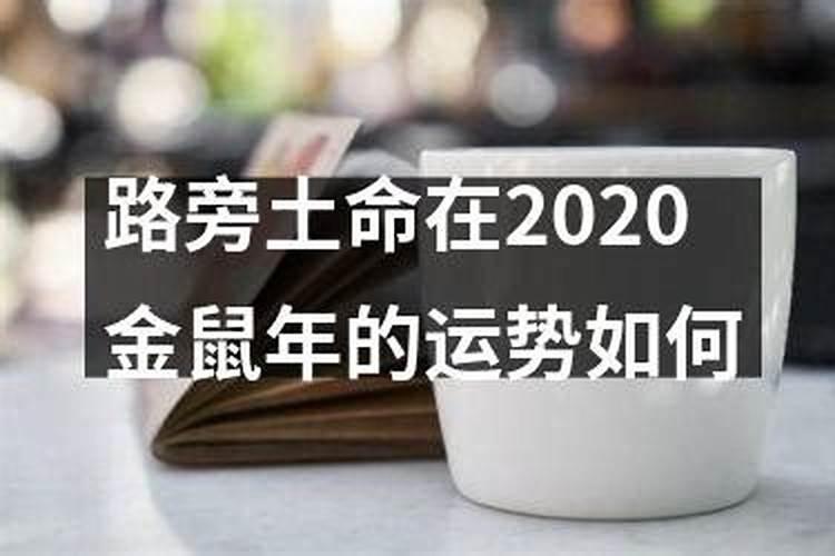 属狗和属狗的合不合