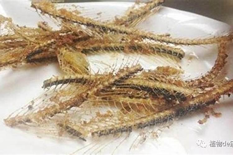 浏阳的风俗习惯