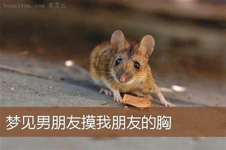 子平术正脉子平术简介