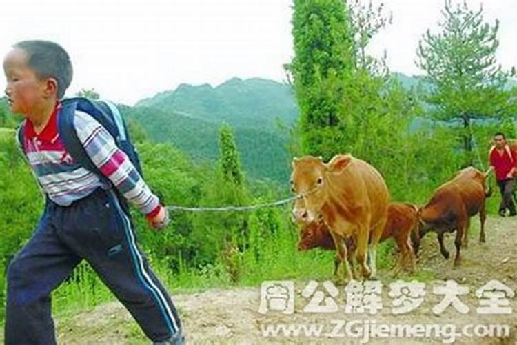 2021端午节的艾草可以挂一年吗