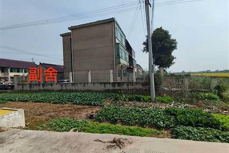 梦到亲人离婚是什么意思