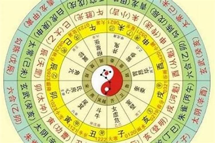 藏干和地支哪个重要