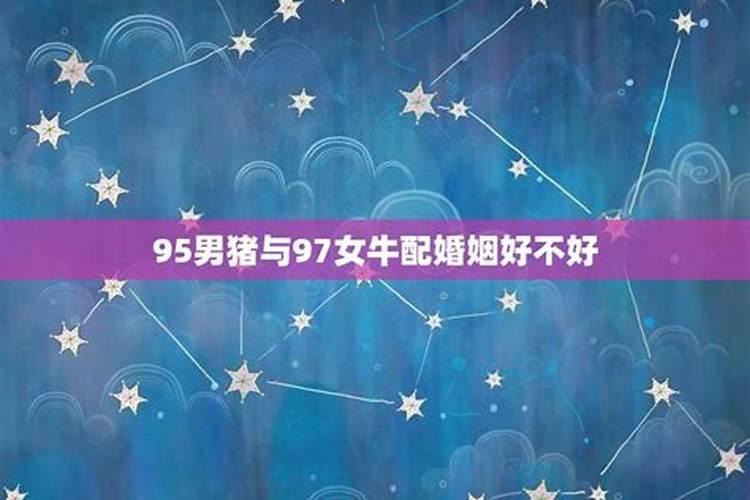 97属牛的属相婚配表女,97属牛的和95属猪结婚