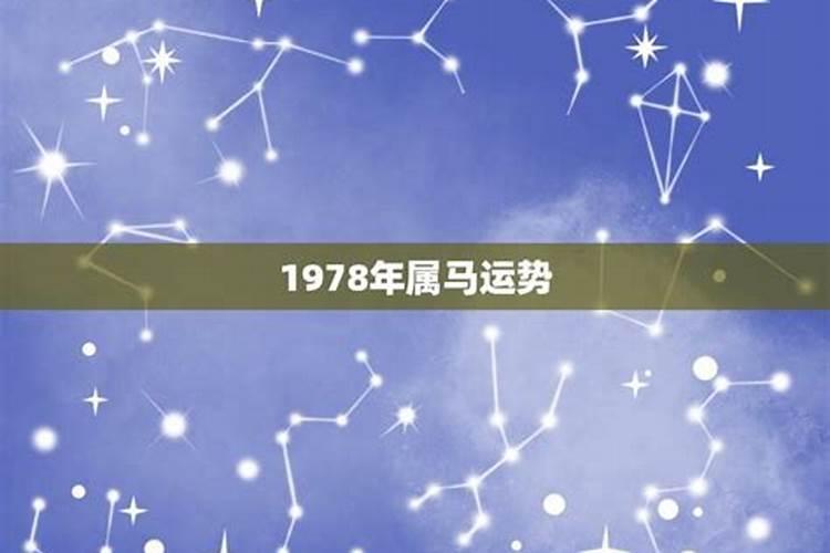 78年的马2025年运势