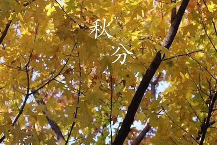 鬼节什么时候 鬼节的时间