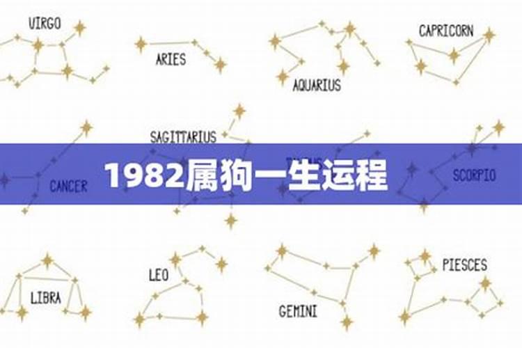 1982年属狗人一生命运