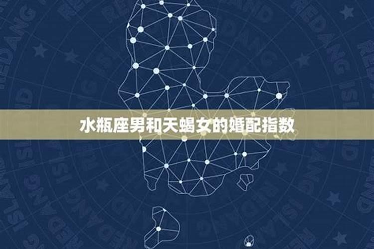 属狗的和什么属相最配呢？