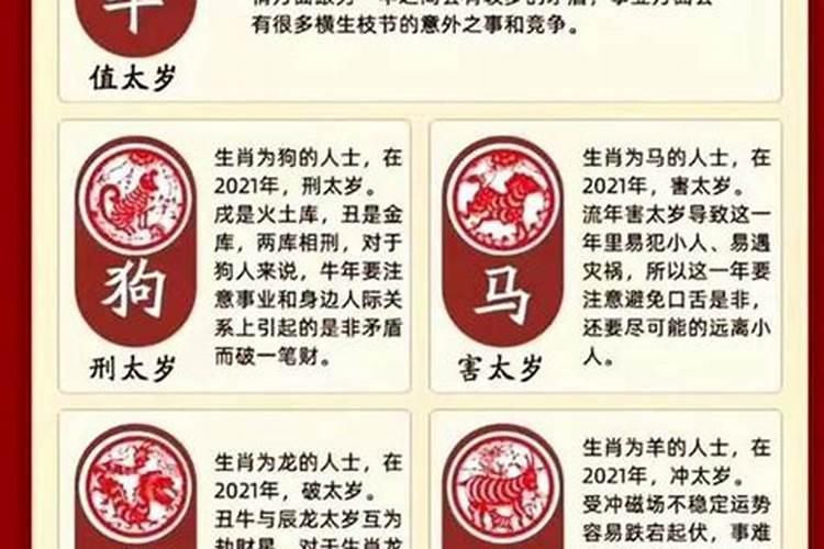 十二生肖2025年运势及运程每月运程详解