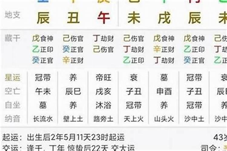 梦见一只大狗到处跟着我