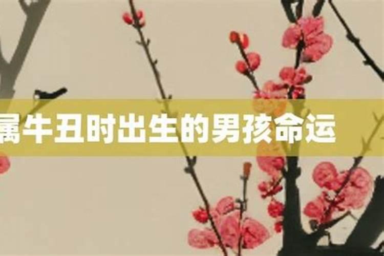 农历:一九九六年正月初五日丑时出生,女命,算八字婚姻？