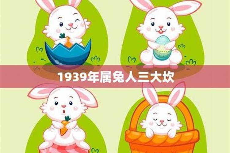 农历1987年12月25属什么生肖？