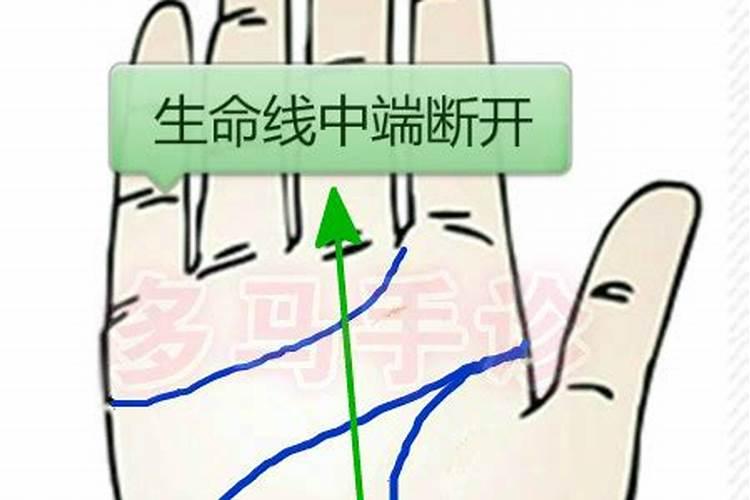 什么属相不能养猫是真的还是假的