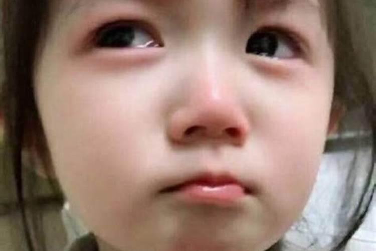 农历十一月出生的属虎人运势