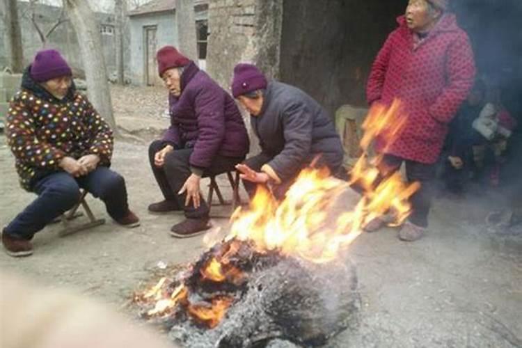 属鼠的女孩子和什么属相比较配,属鼠女和什么属相最配