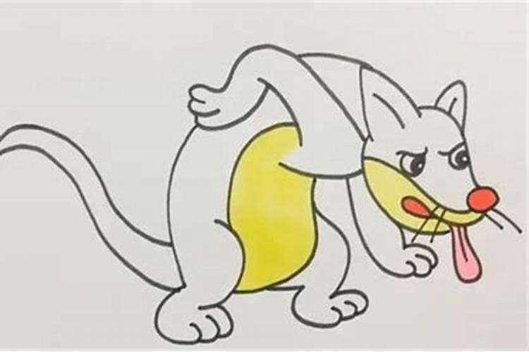孕妇梦见猫和老鼠是什么意思