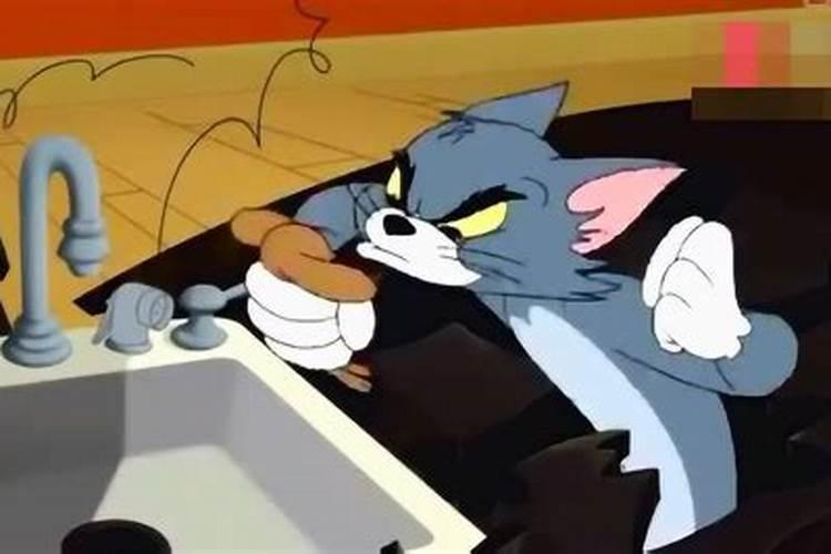 梦见老鼠和猫是什么兆头？