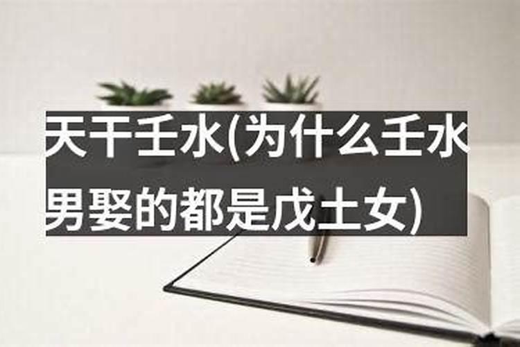 88年2025属龙的运势
