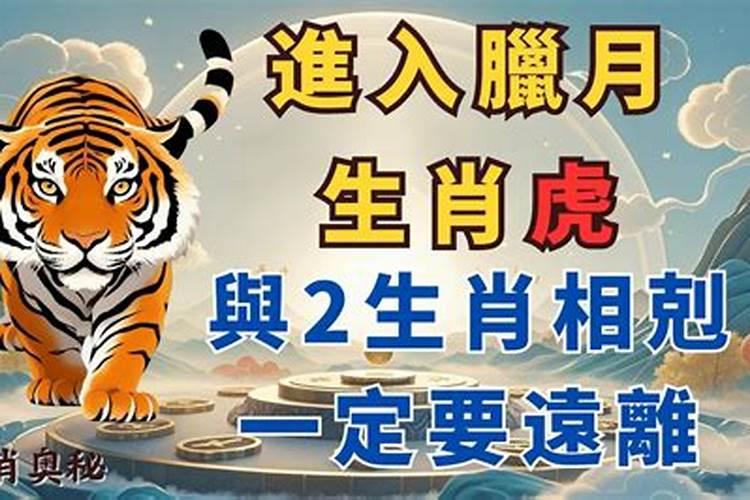 74年出生属什么