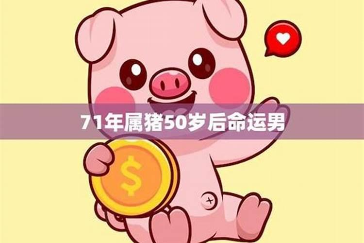 1947年生的73岁生肖猪人2020年运势如何,太岁之年、龙德吉星入住命宫...