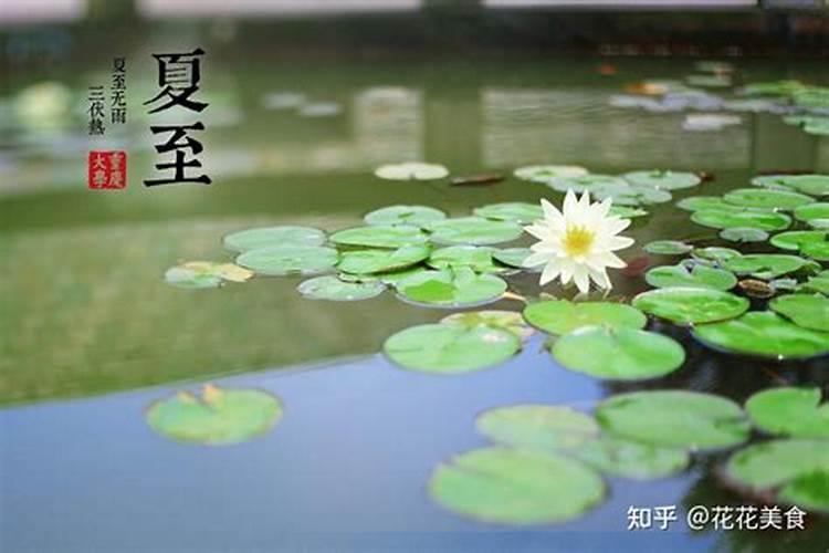 属虎2025年犯太岁怎么化解