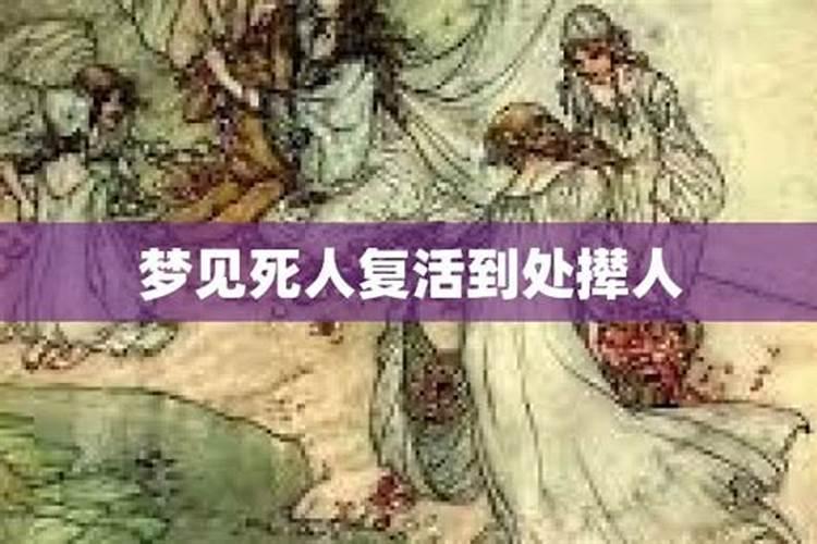 2024年属兔的犯太岁如何化解婚姻危机