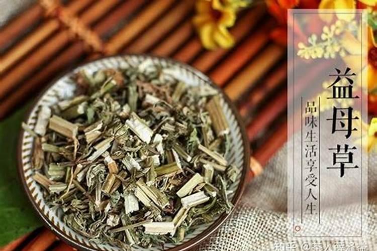 阳台该种什么树最旺风水