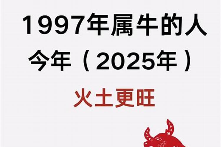 属牛的人2025年的命运