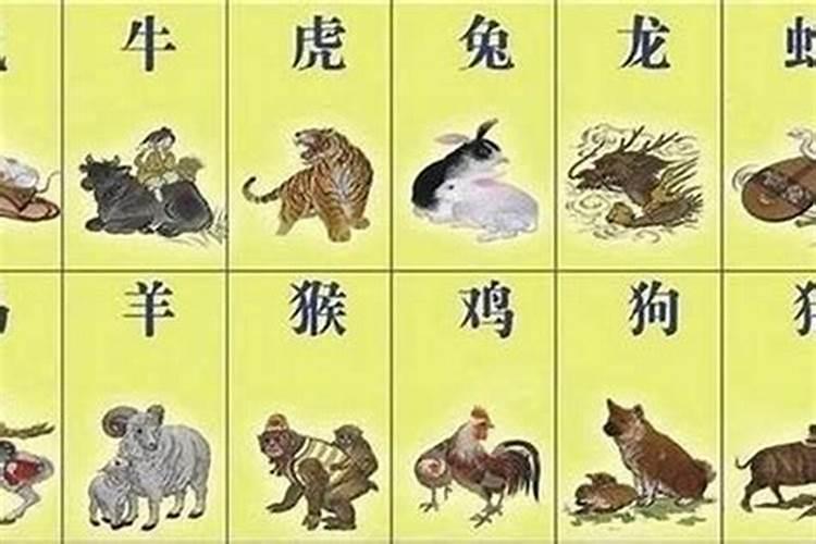 一九八一年二月初一早晨七点什么命
