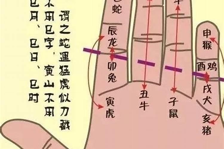 算卦怎么自学手指