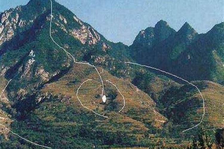鼠年犯太岁的四个属相