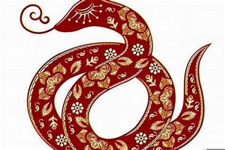 女人属蛇的今年运势