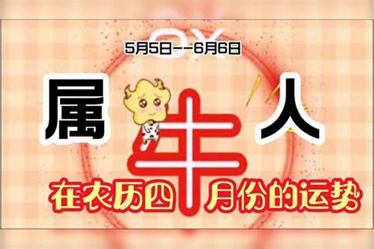 生于1997年农历四月属牛运势 命运比较普通？
