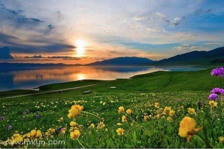 梦见美丽的风景 梦见美丽的风景就什么意思