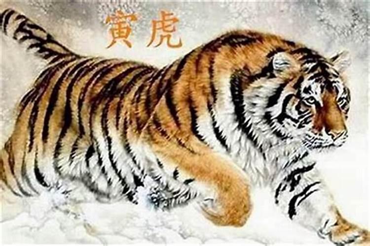 少数民族主要分布在哪些地区 少数民族的传统节日有什么