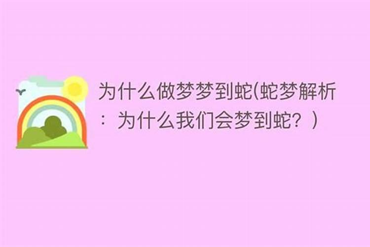 晚上做梦梦到蛇是什么意思 为什么会梦到蛇
