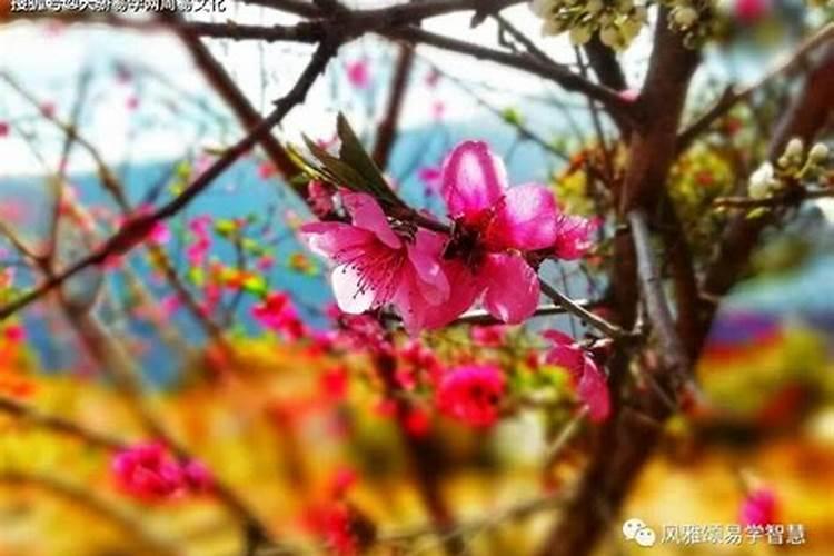 流产的婴儿有灵魂吗佛法莲蓬鬼话  百度宝宝知道