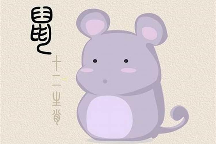 甲己合的命理特征与影响分析
