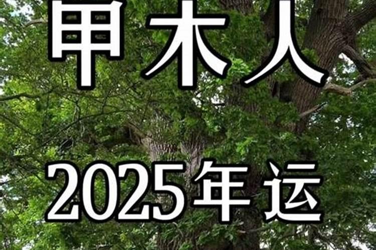 2025年5月25日五行