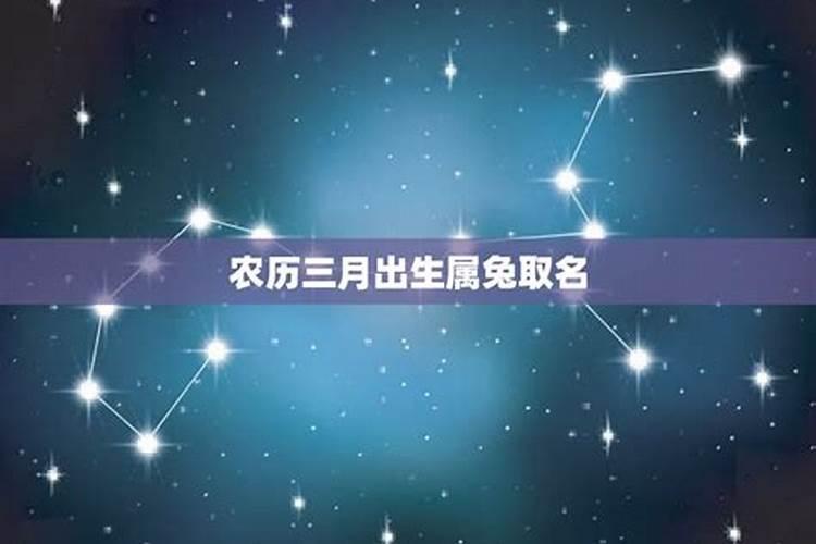 属鸡农历1993年3月19日凌晨2点10分出生的运气？