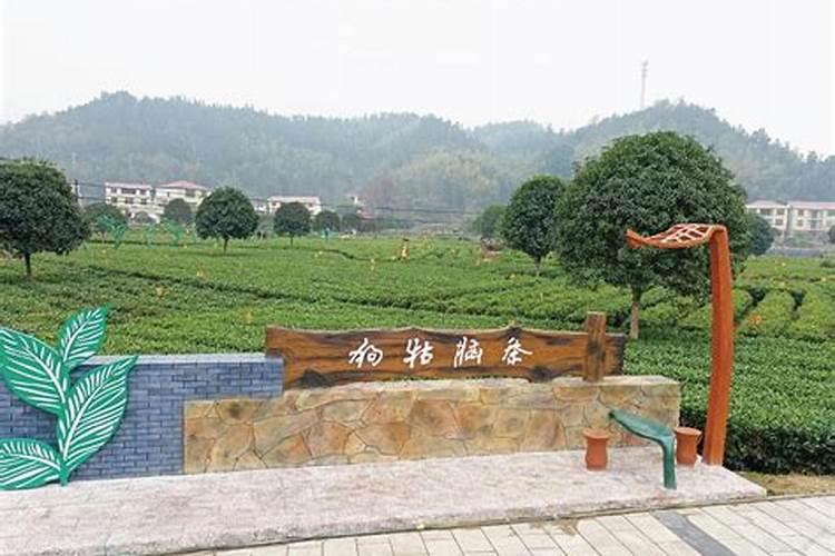 73年属牛女2025年每月运势