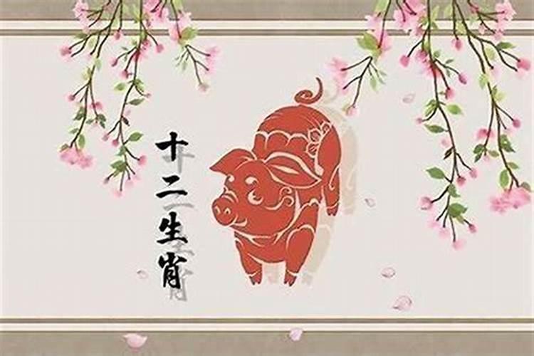 属猪的生在几月最好命运