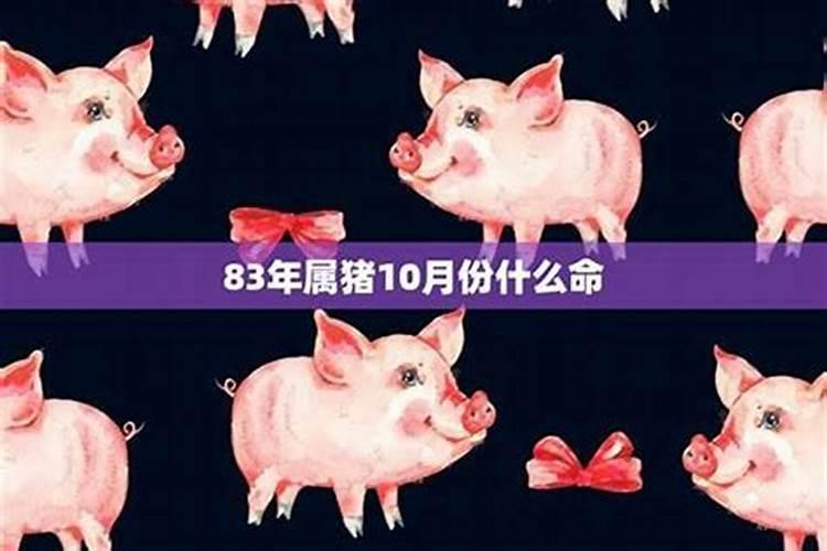 属猪人出生月的命运