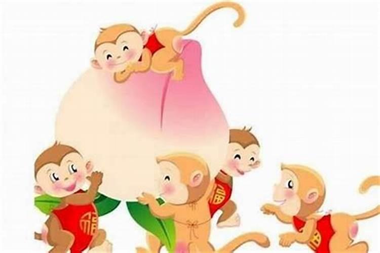 属狗的适合生什么属相的宝宝