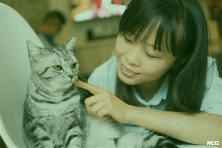 火命什么意思