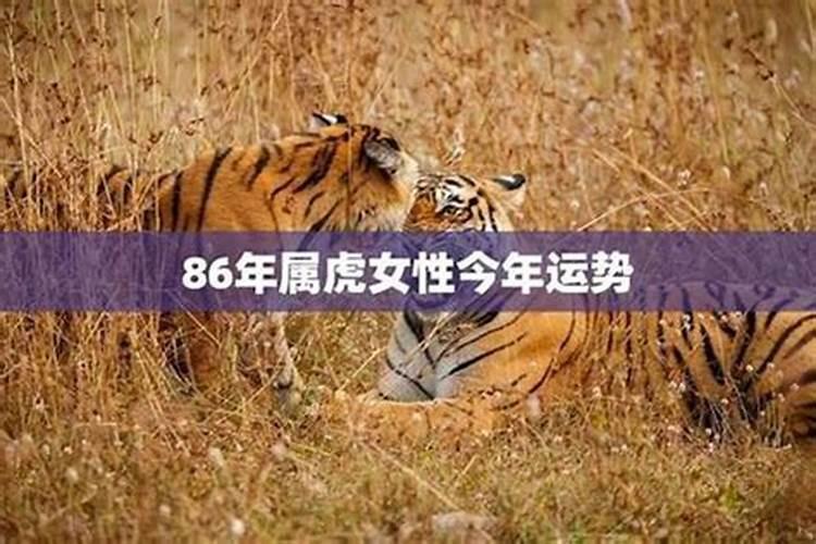 梦见老娘的预兆