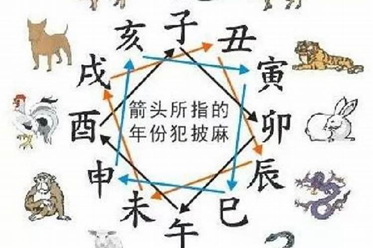 披麻在八字中的命理含义解析