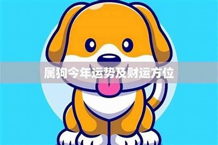 宝宝名字打分