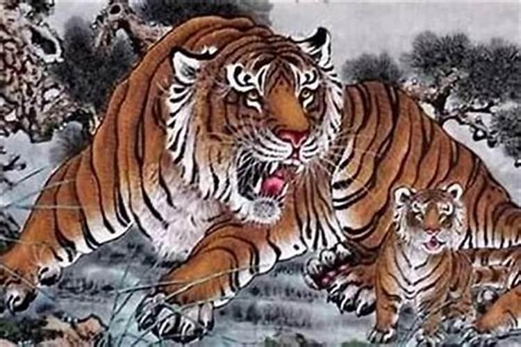 92年出生的属猴人一生命运如何？