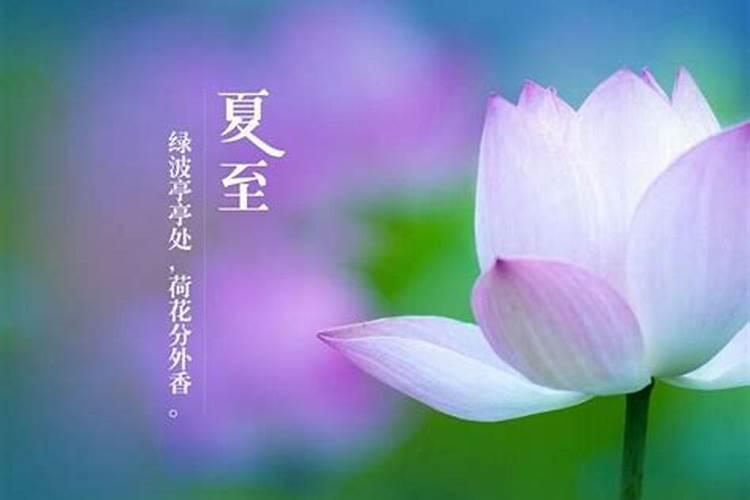 71年属猪人2025年运势
